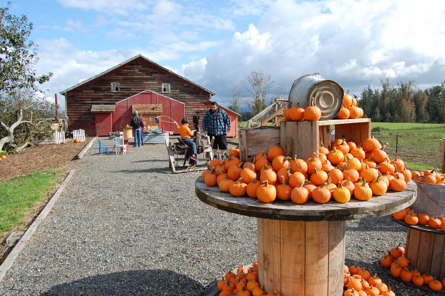 Small pumpkins